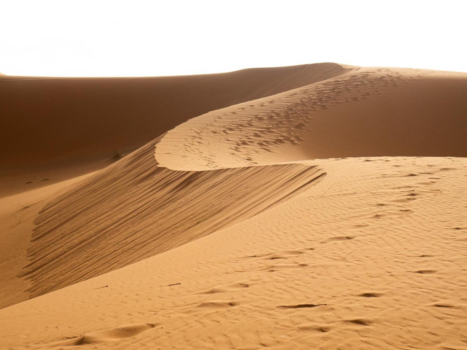 Maison Merzouga Guest House Exterior photo